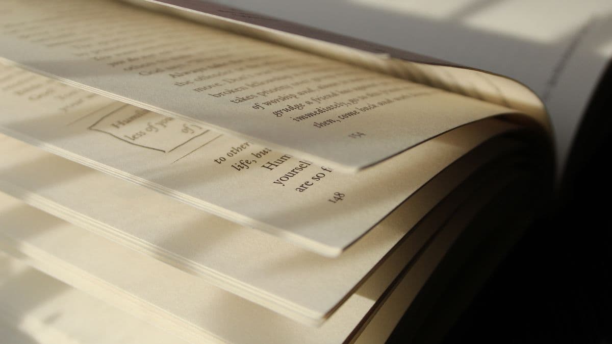 Close-up of open book pages lit by warm sunlight