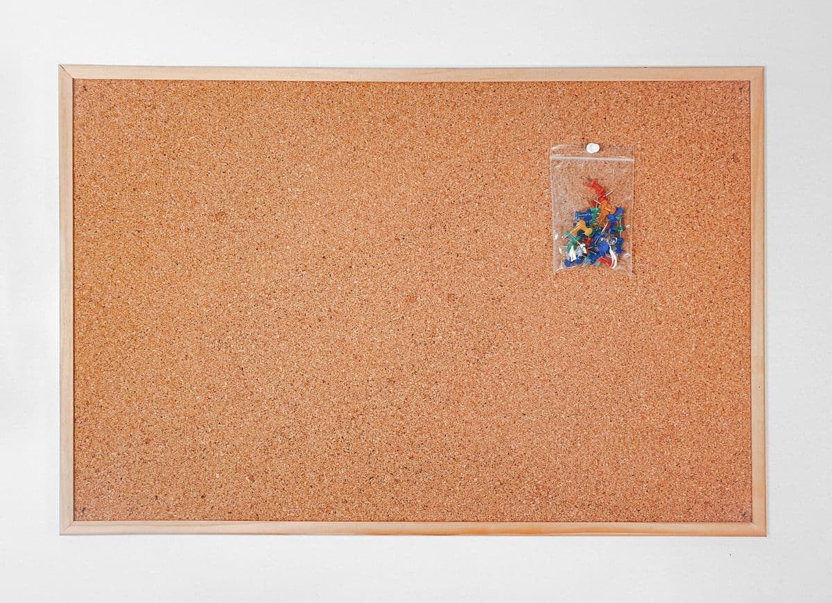 A blank corkboard with a pack of push pins